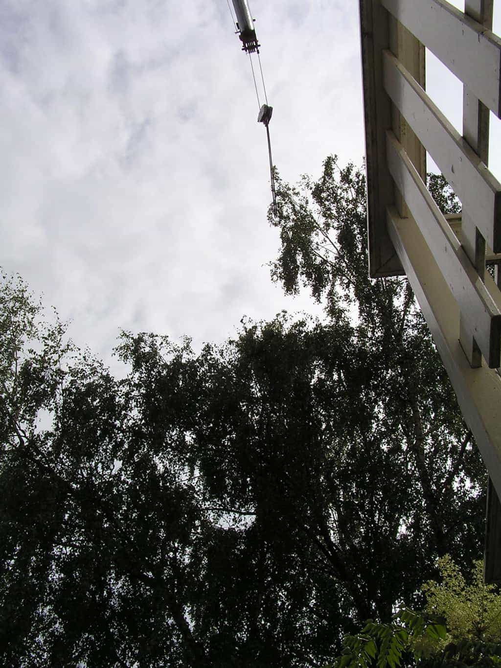 bomen rooien/eindhoven/P4250126.JPG