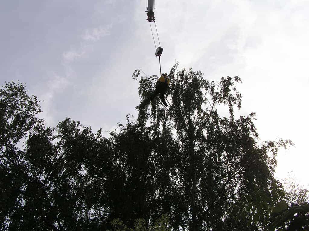 bomen rooien/eindhoven/P4250135.JPG