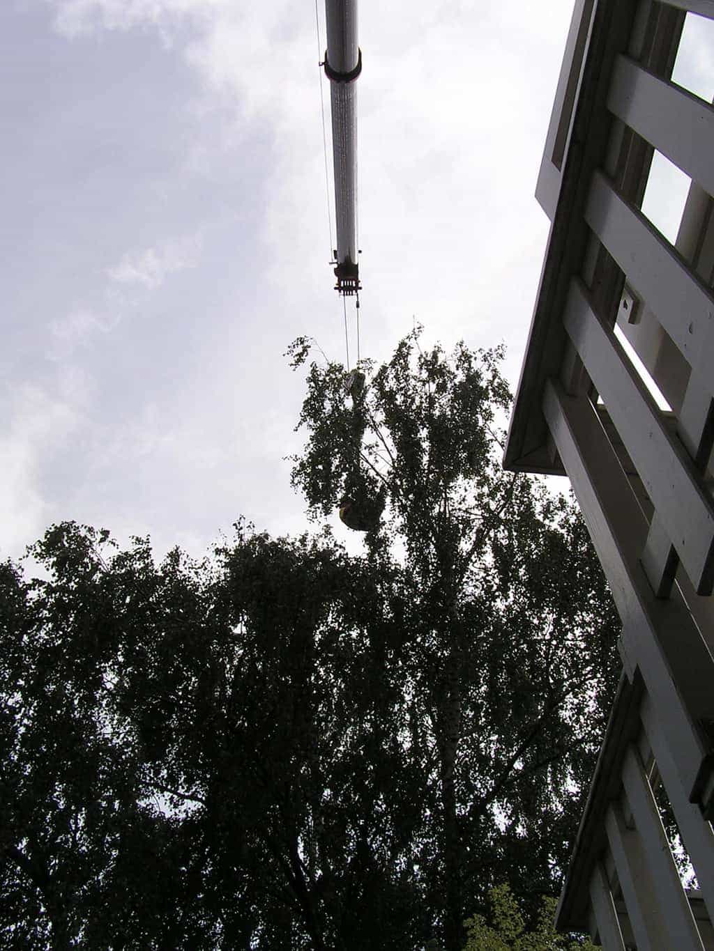bomen rooien/eindhoven/P4250136.JPG