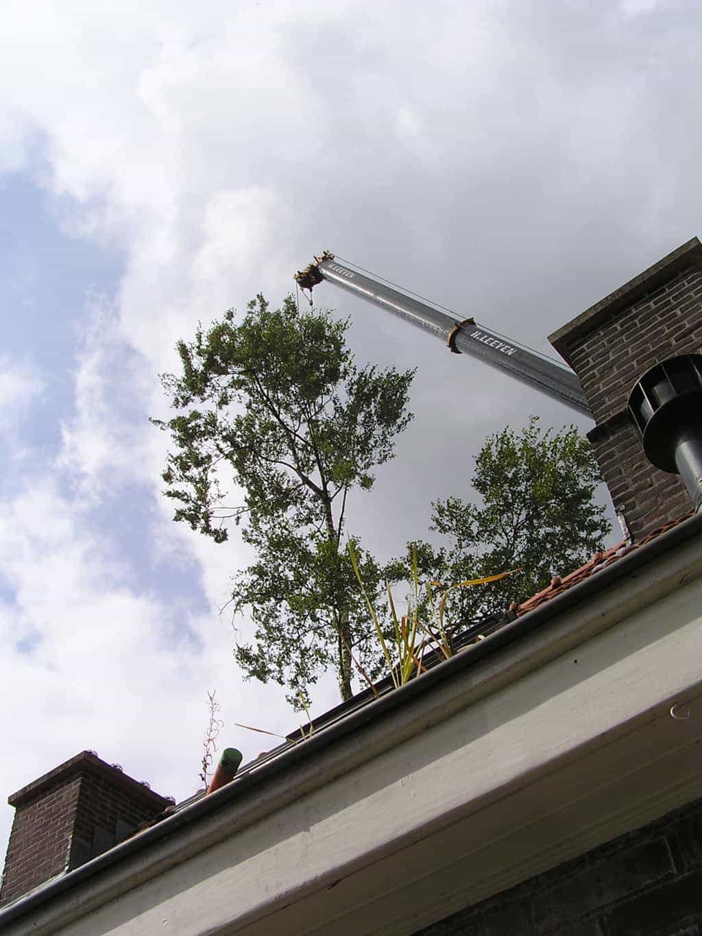 bomen rooien/eindhoven/P4250166.JPG