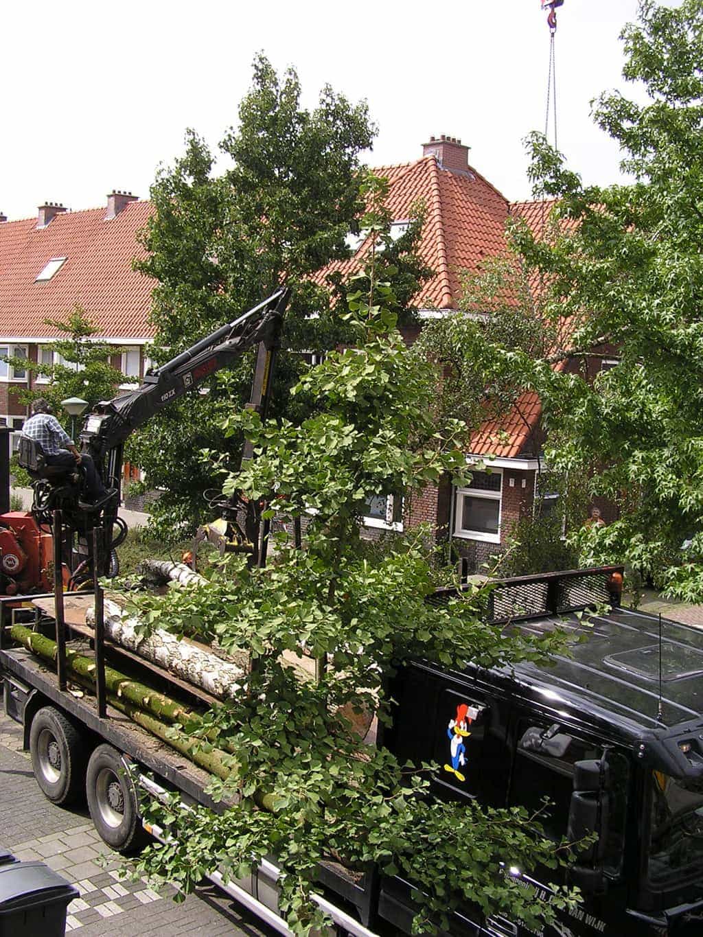 bomen rooien/eindhoven/P4250169.JPG