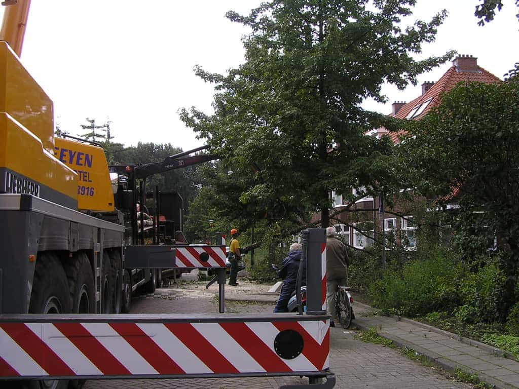 bomen rooien/eindhoven/P4250179.JPG