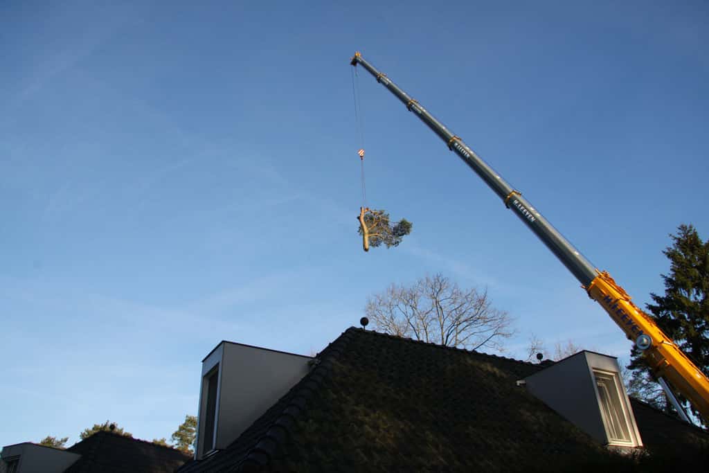 bomen rooien/hoekstra/Afbeelding 026