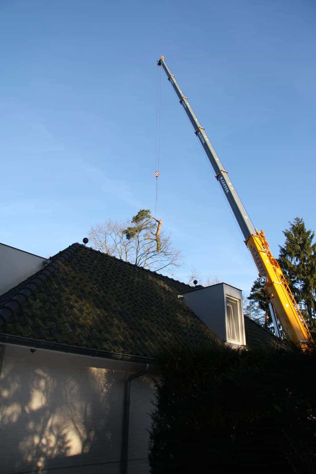 bomen rooien/hoekstra/Afbeelding 027