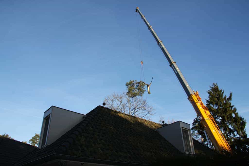 bomen rooien/hoekstra/Afbeelding 042