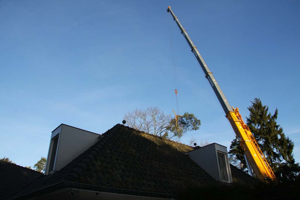 bomen rooien/hoekstra/Afbeelding 043