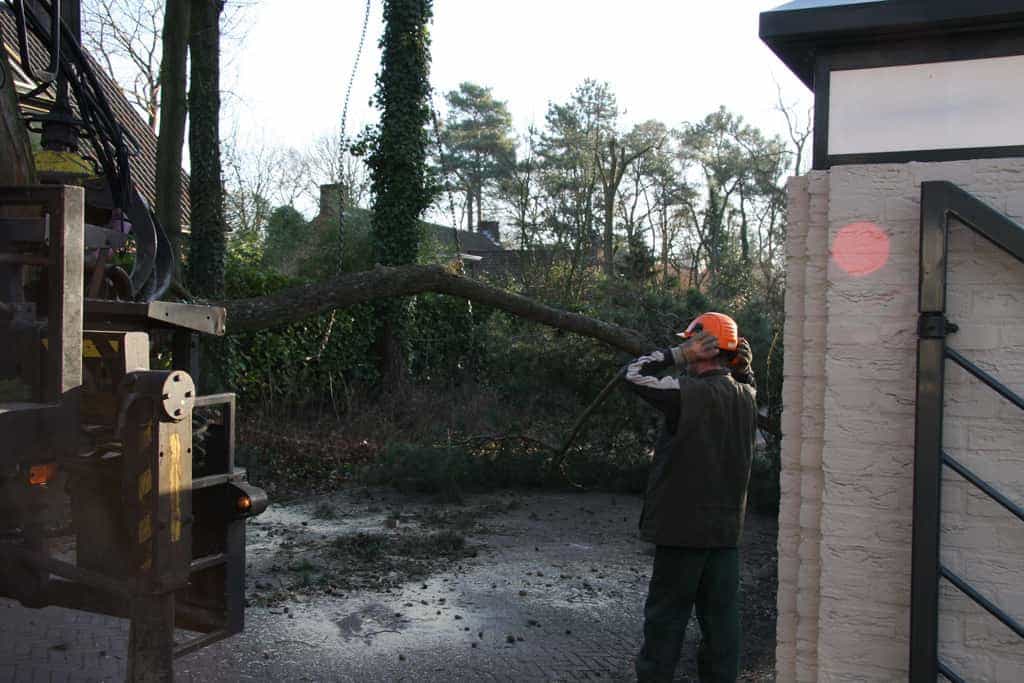 bomen rooien/hoekstra/Afbeelding 049