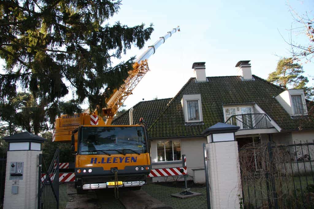 bomen rooien/hoekstra/Afbeelding 053