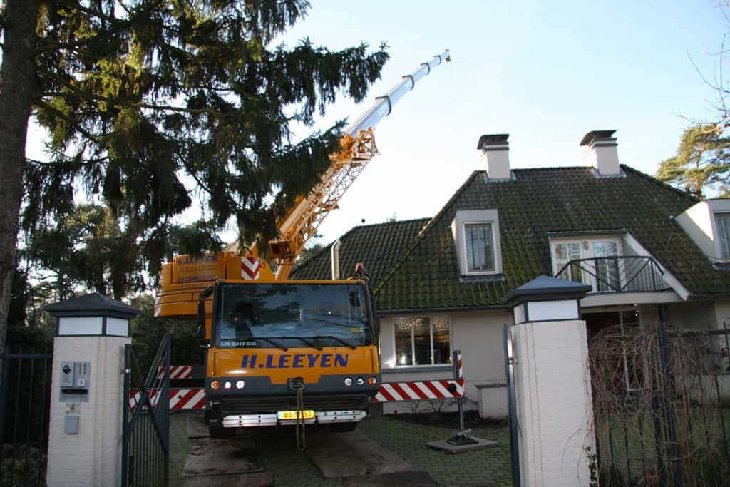 bomen rooien/hoekstra/Afbeelding 055