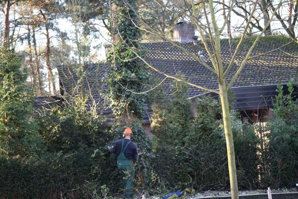 bomen rooien/hoekstra/Afbeelding 057
