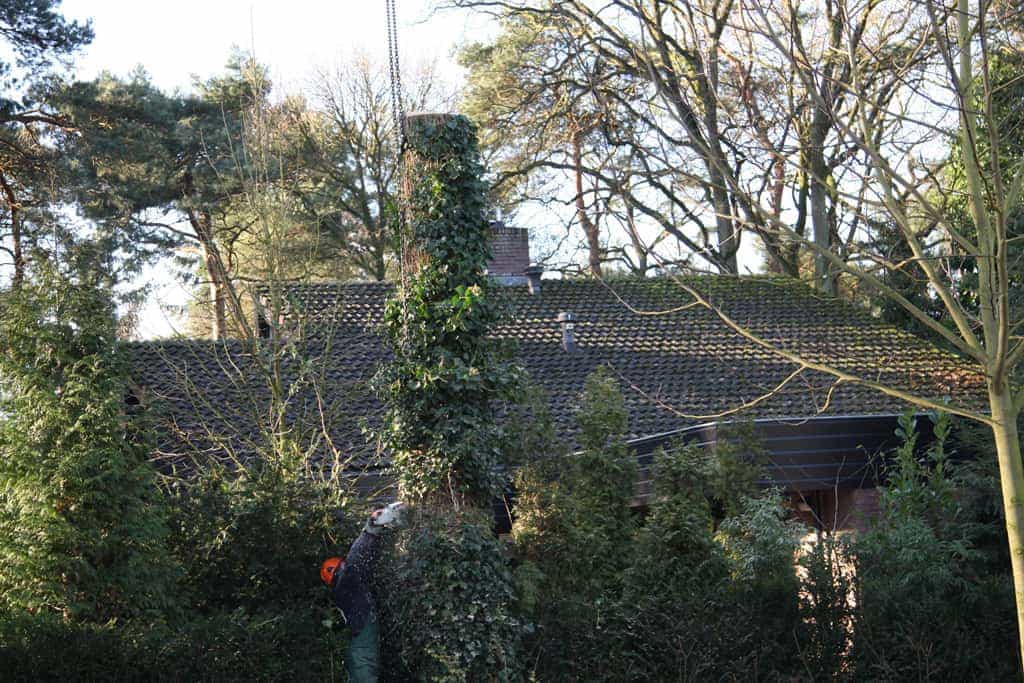 bomen rooien/hoekstra/Afbeelding 058