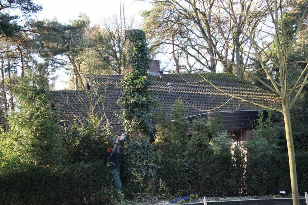 bomen rooien/hoekstra/Afbeelding 059