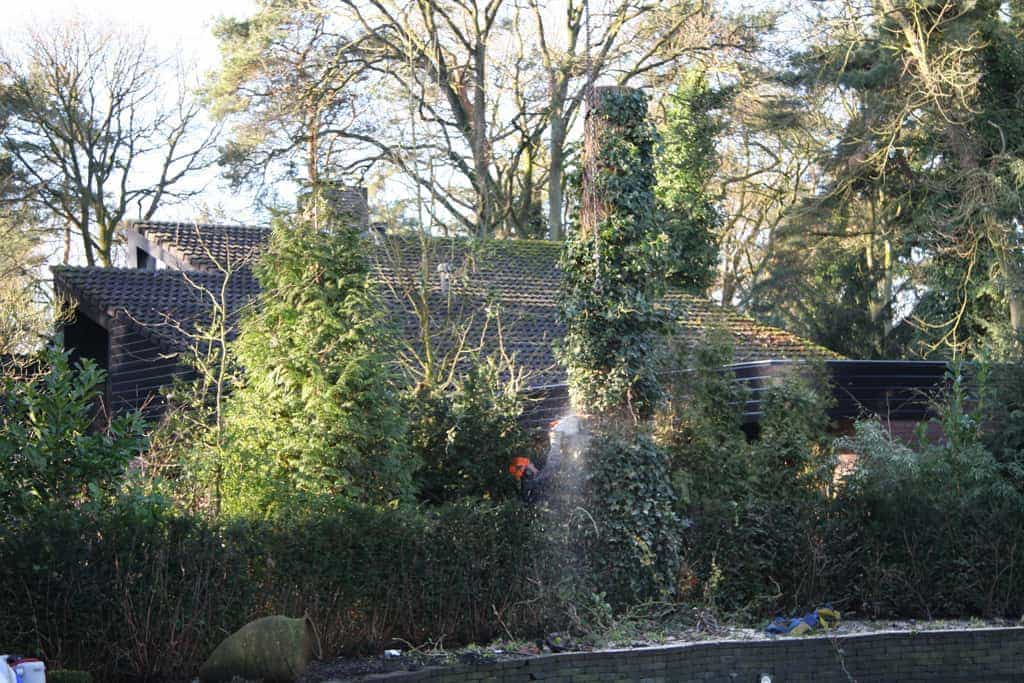 bomen rooien/hoekstra/Afbeelding 061