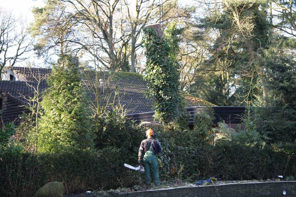 bomen rooien/hoekstra/Afbeelding 062