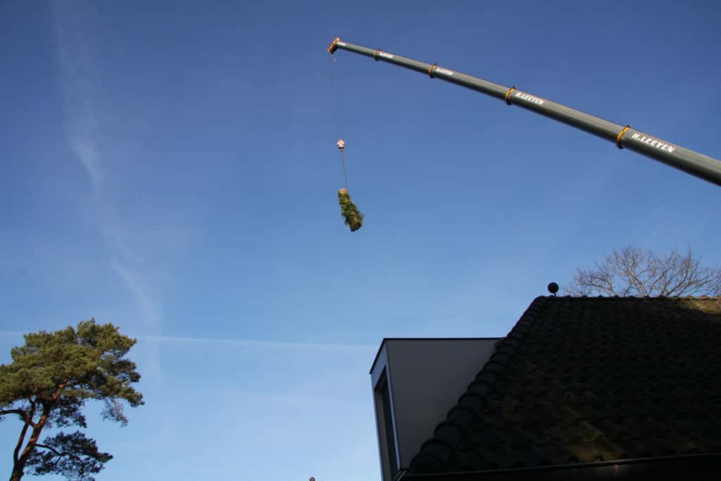 bomen rooien/hoekstra/Afbeelding 068