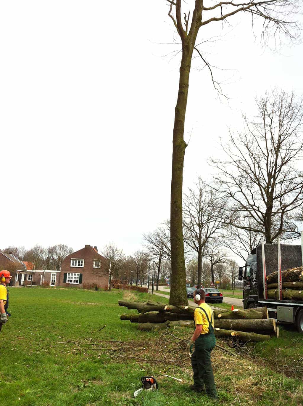 bomenrooien biezenmortel/IMG_1893.JPG
