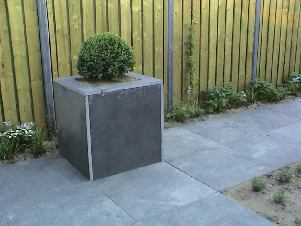 breda jansen/DSC02480.JPG
