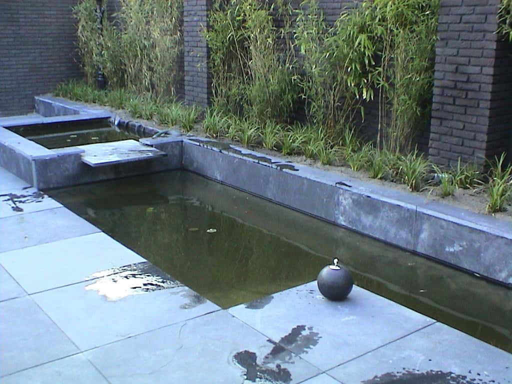 breda jansen/DSC02481.JPG