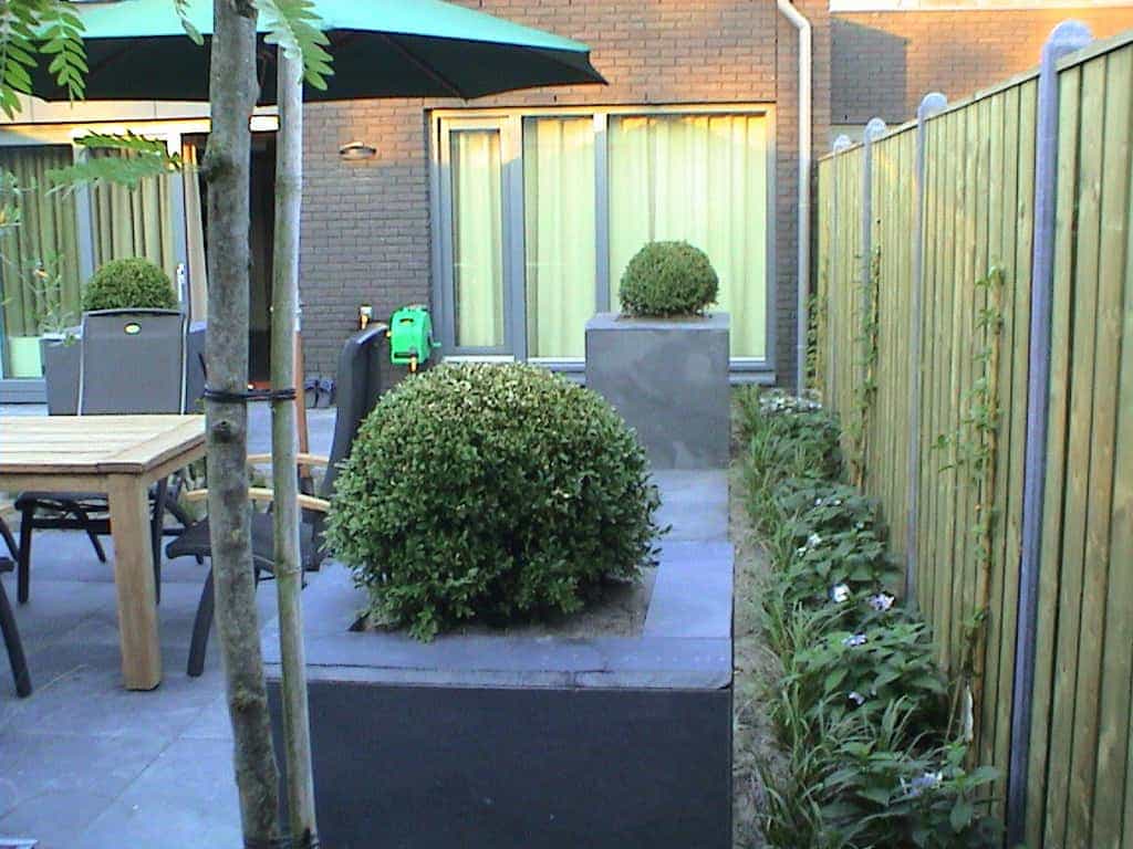 breda jansen/DSC02490.JPG
