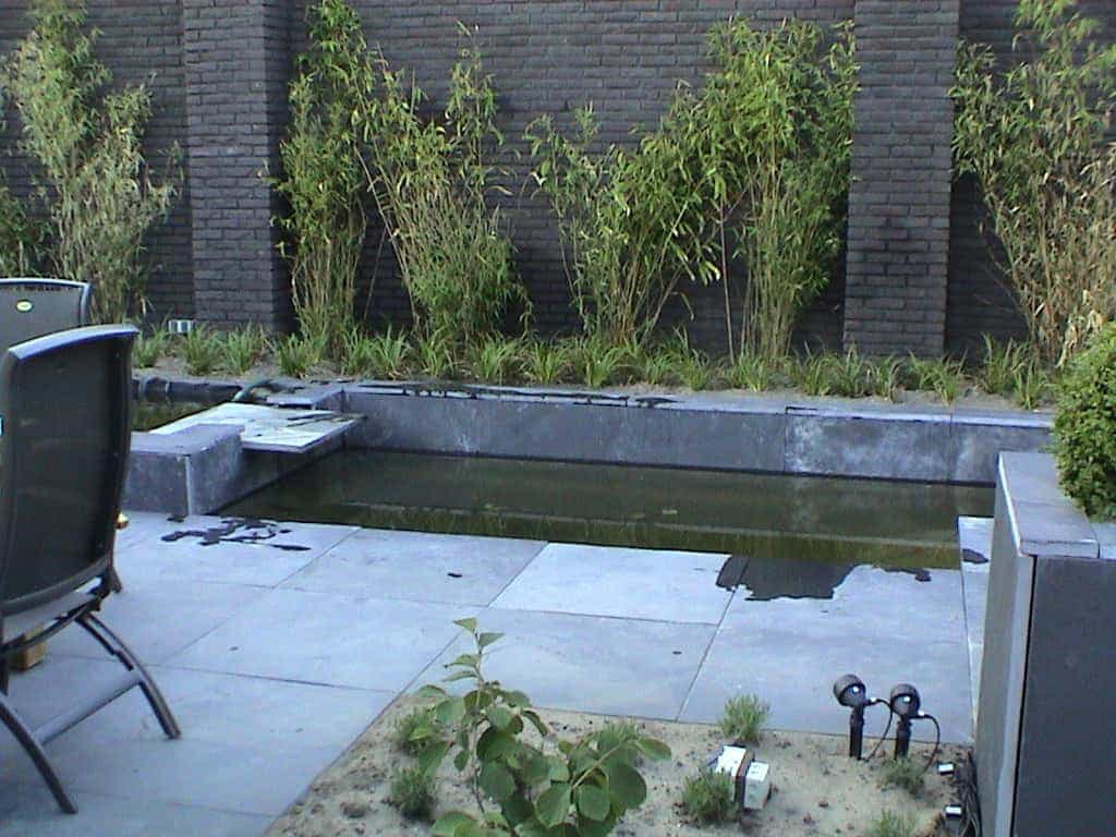 breda jansen/DSC02492.JPG