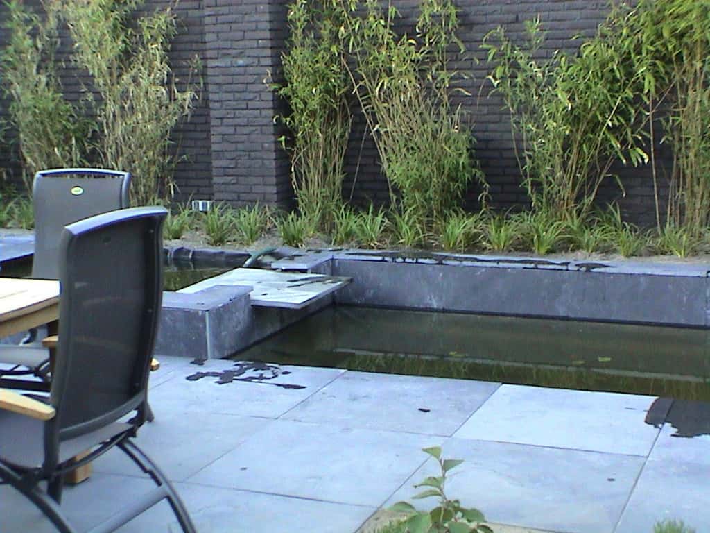 breda jansen/DSC02493.JPG