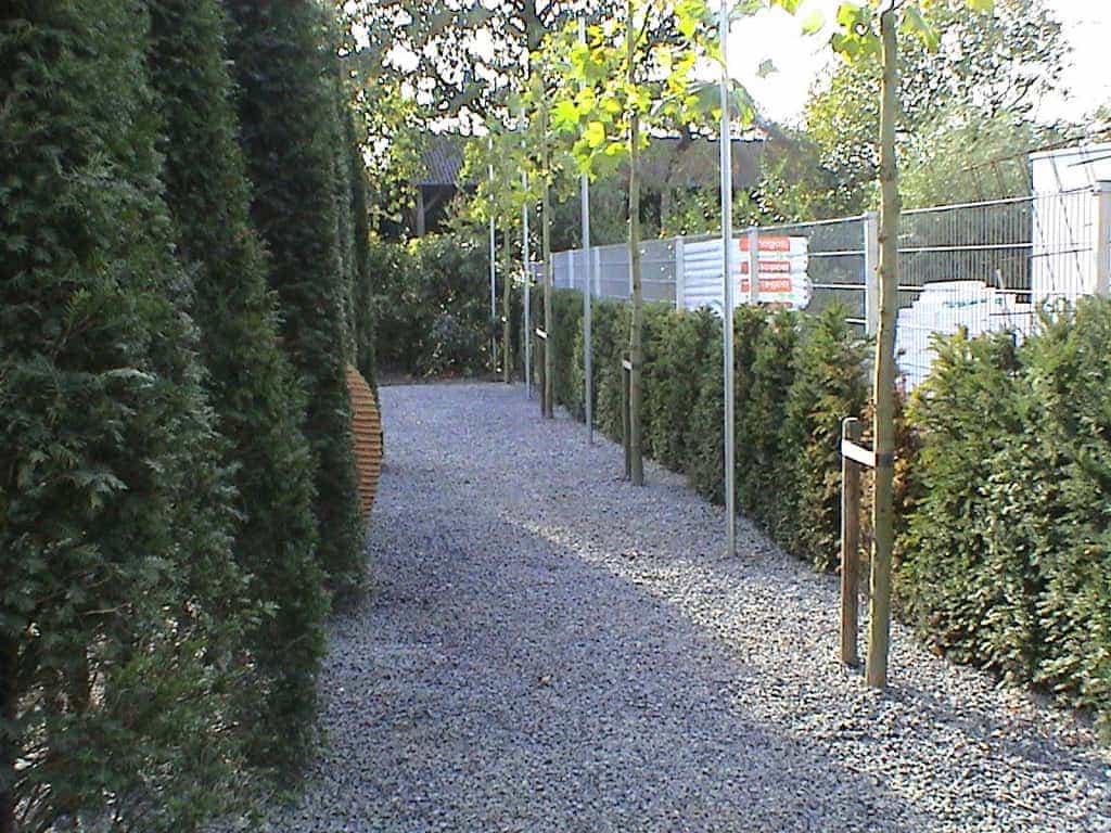 breda jansen/DSC02505.JPG