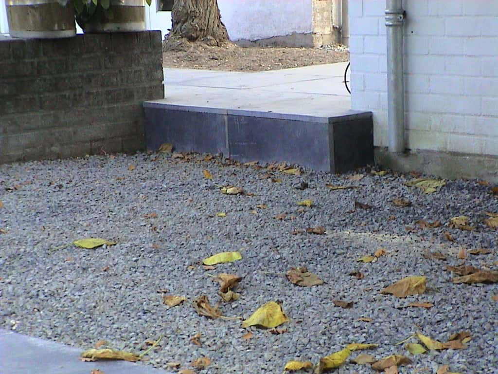 breda jansen/DSC02515.JPG