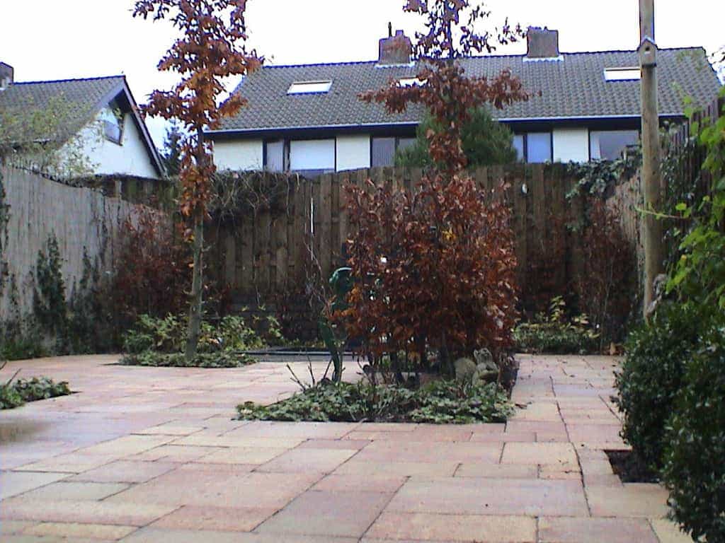 breda jansen/DSC02528.JPG