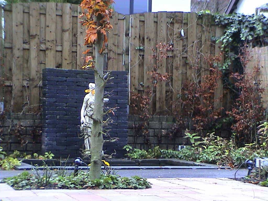 breda jansen/DSC02531.JPG