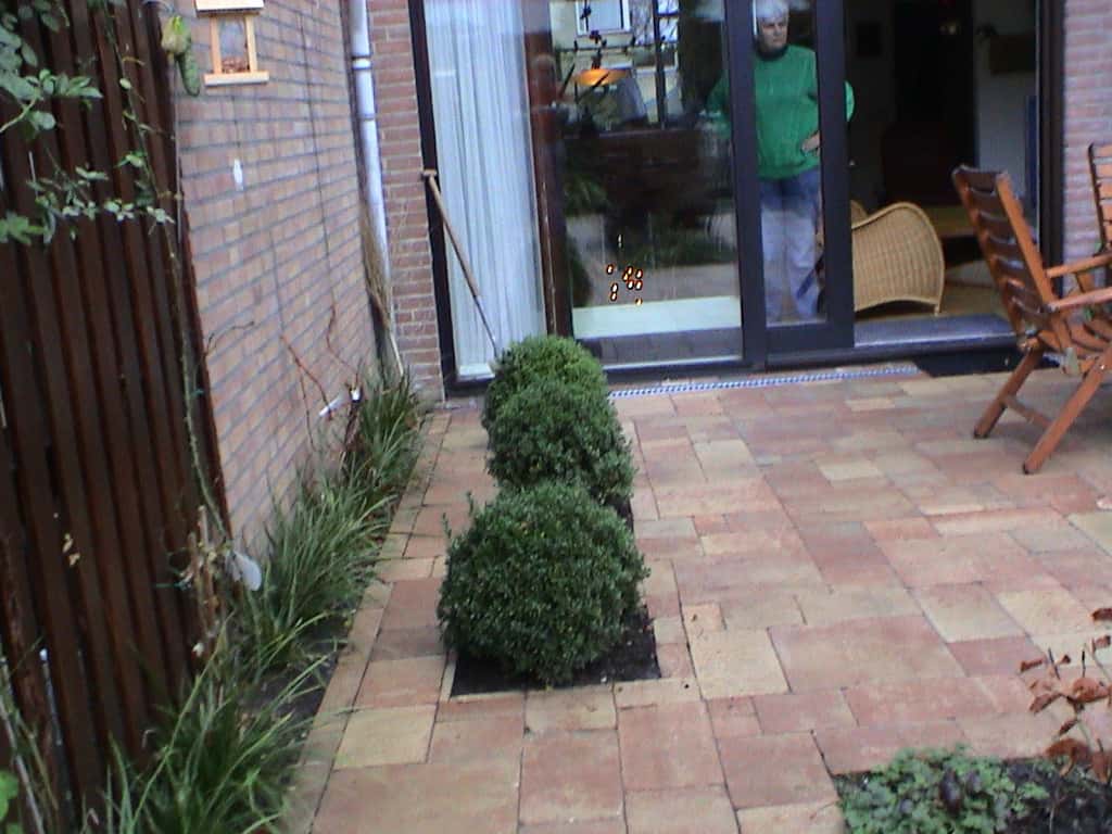 breda jansen/DSC02535.JPG