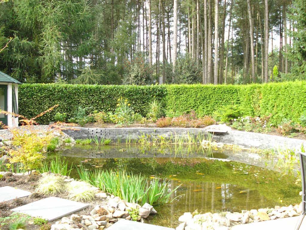etten belgie/3