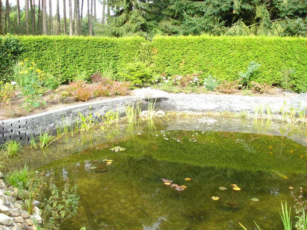etten belgie/Afbeelding 006