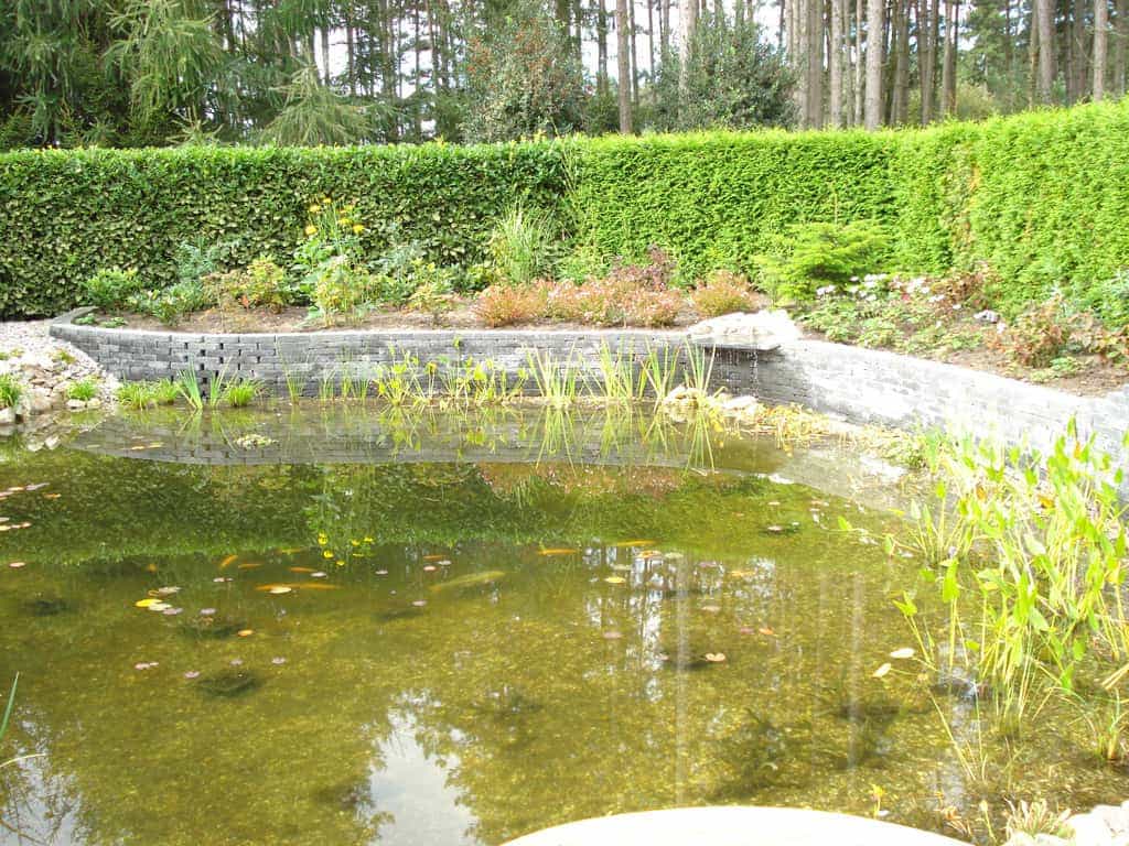 etten belgie/Afbeelding 016
