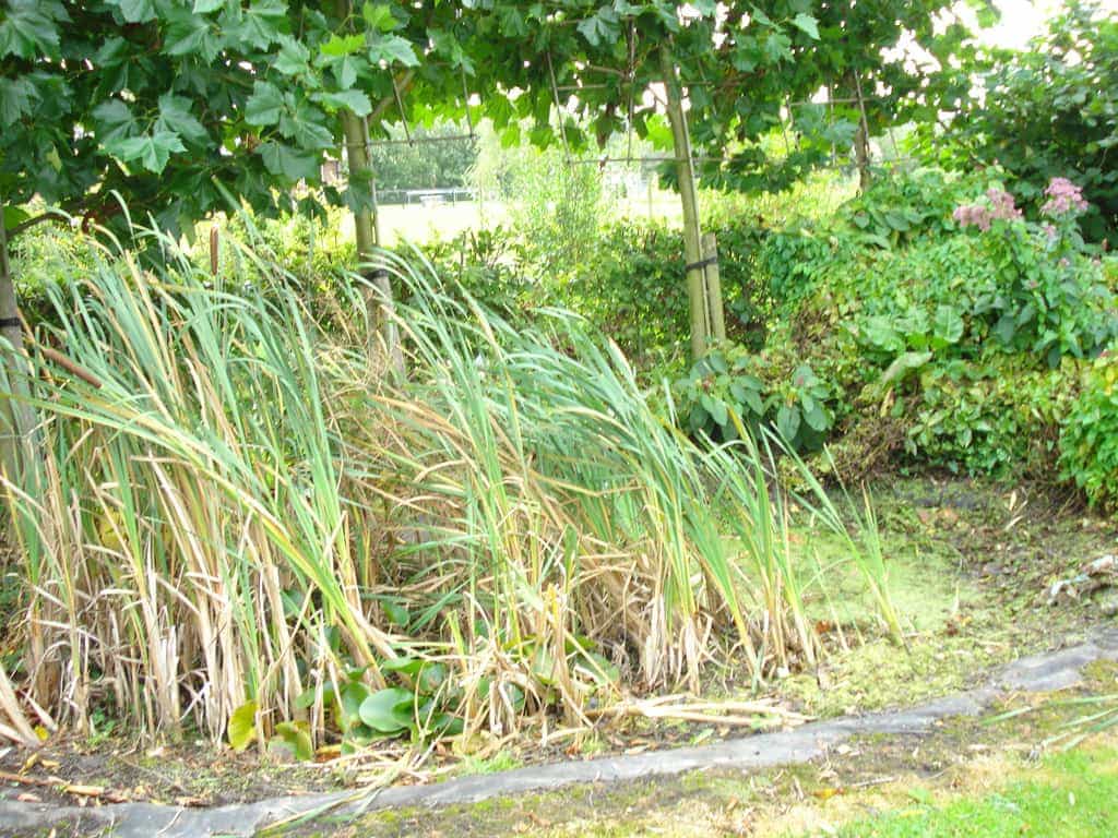 etten belgie/Afbeelding 020