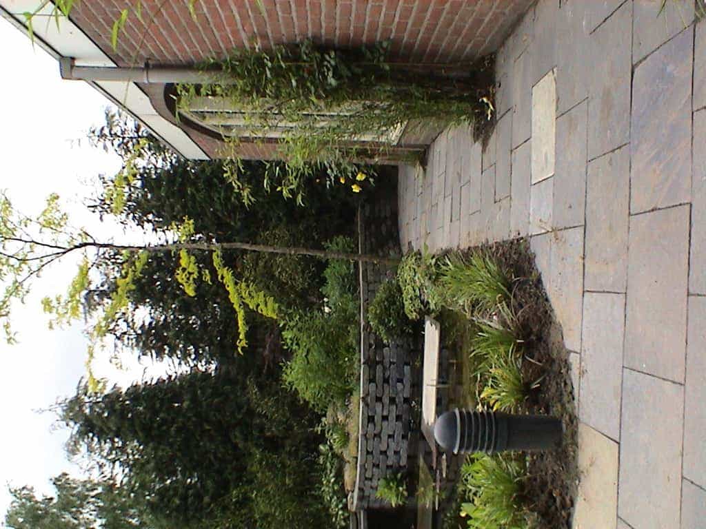 marloes/DSC01814.JPG