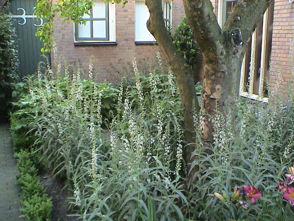 marloes/DSC01863.JPG
