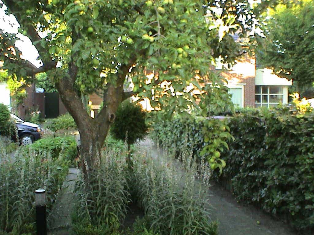 marloes/DSC01864.JPG