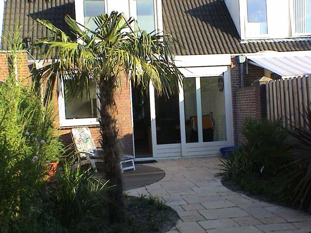 marloes/tuin 3.JPG