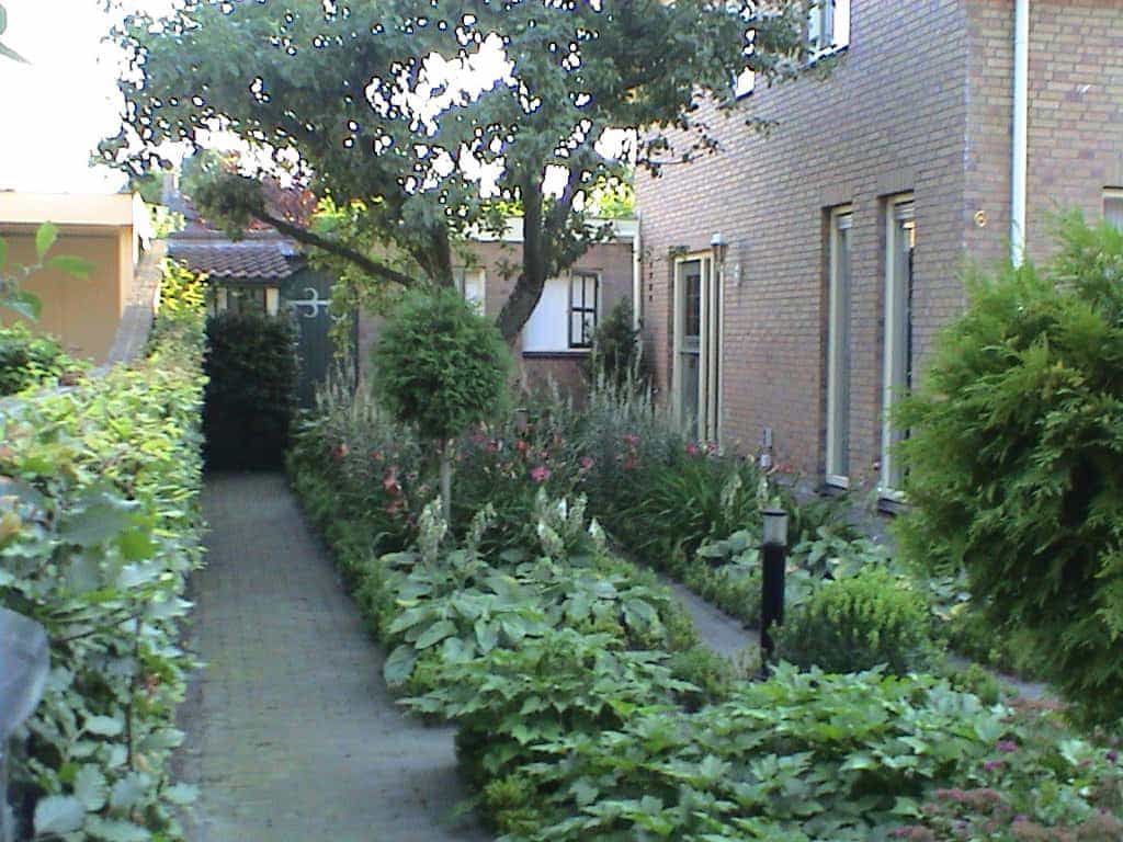 marloes/tuin a 3.JPG