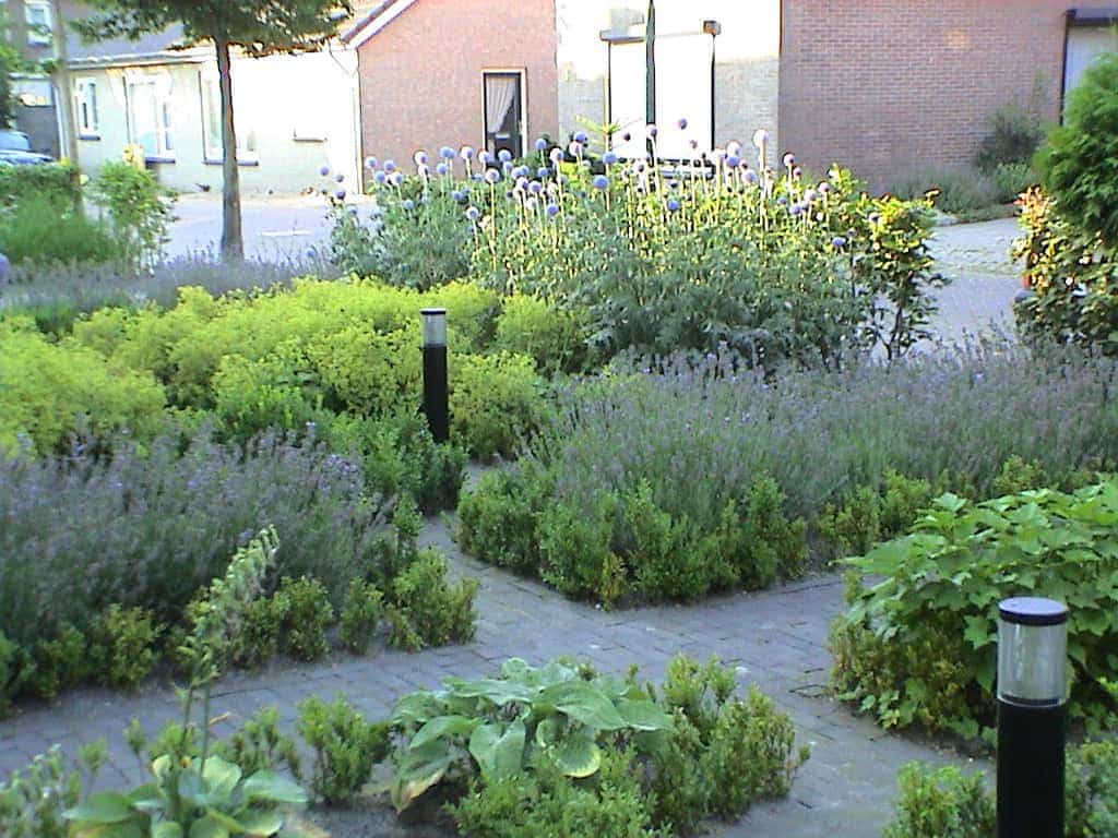 marloes/tuin a.JPG