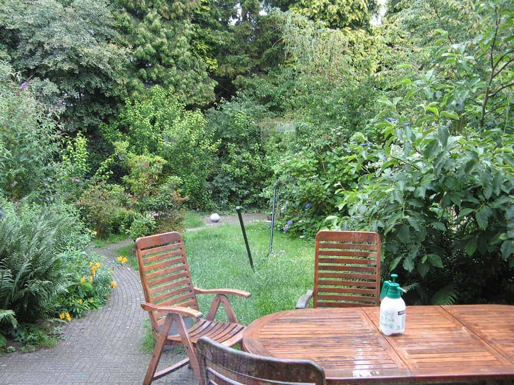tuin 026.JPG