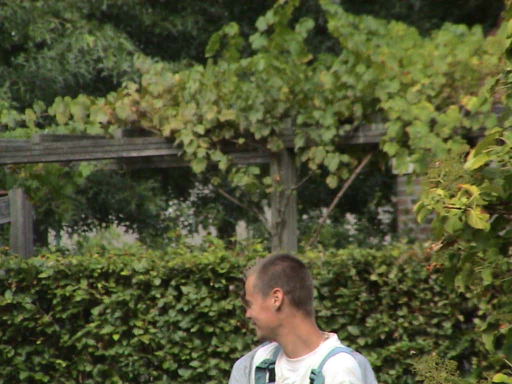 tuinvdalen/DSC00607.JPG