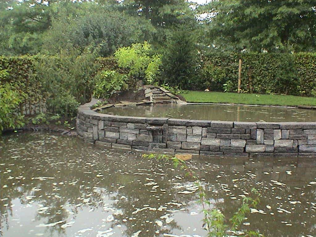 tuinvdalen/DSC00611.JPG
