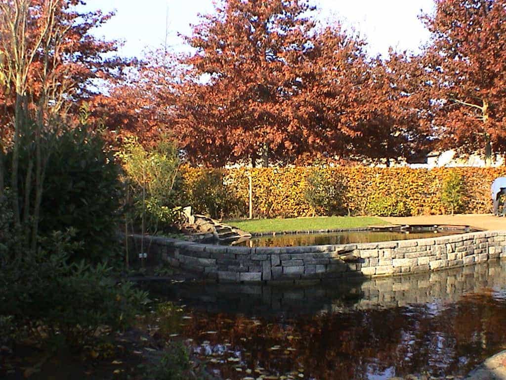 tuinvdalen/DSC00702.JPG