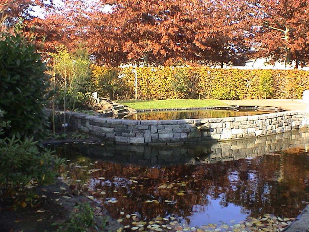 tuinvdalen/DSC00708.JPG