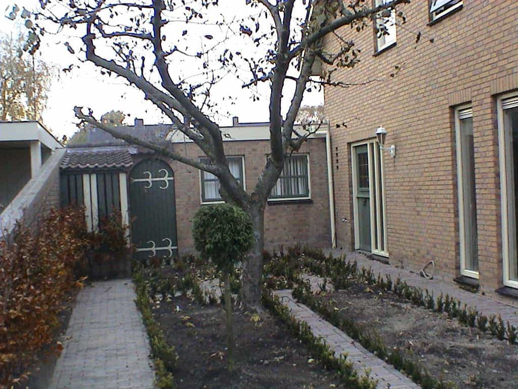 tuinvdalen/DSC00711.JPG